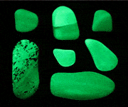 Fluorescence