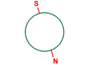 Magnetic Reversal