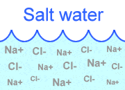 Salt water