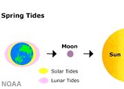 Spring Tide