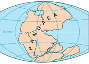 Pangaea Maps