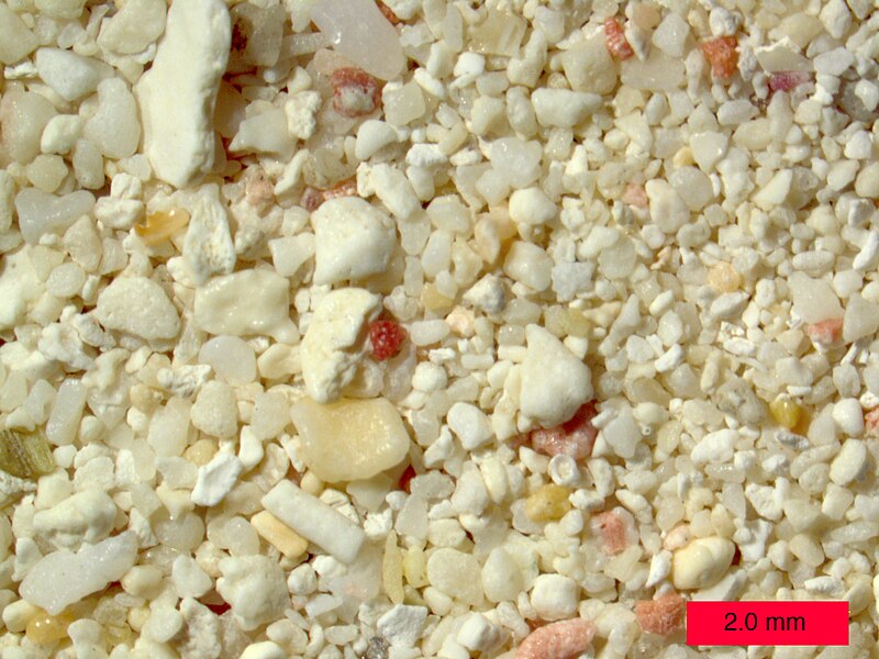 File:CoralSandAruba.jpg