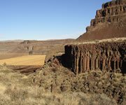 Plateau Basalt