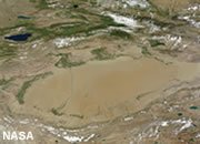 Basin