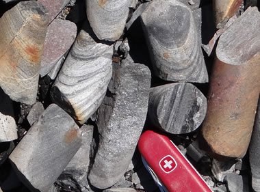 Biotite in sandstone