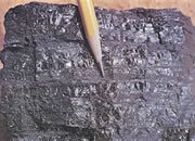 Bituminous Coal