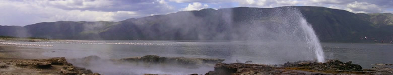 Bogoria Africa