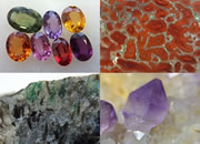 macro lens photos