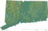 Connecticut physical map