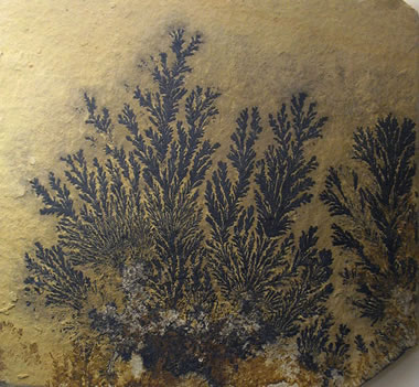 Dendritic pyrolusite crystals
