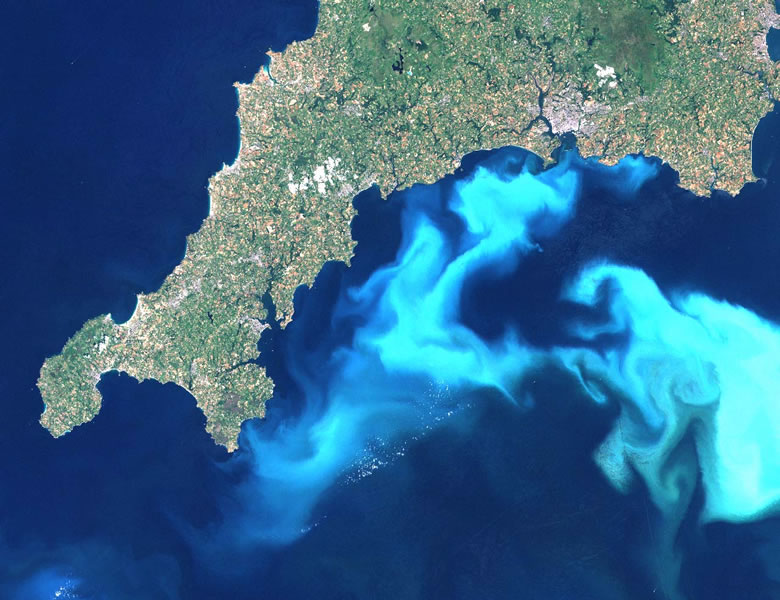 phytoplankton bloom in the English Channel off the southern tip of England