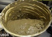 Foraminiferal Ooze
