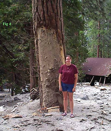Forest Falls debris flow