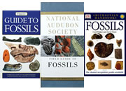 Fossil Books