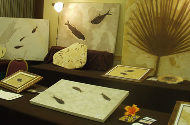 Fossil fish