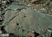 Glacial Striations