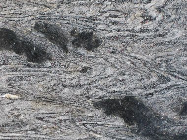 photo of polished gneiss from the yard of a countertop vendor