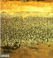 Graded Bedding