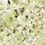 Green Granite