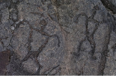 Hawaii petroglyphs