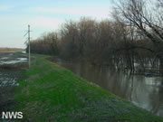 Levee