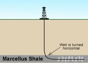Marcellus Shale