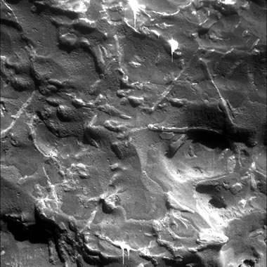Mars meteorite: Block Island Widmanstatten
