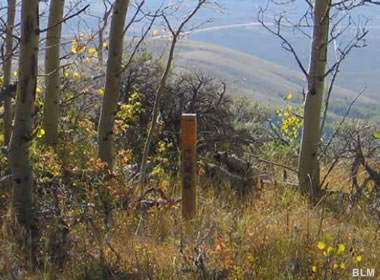 mineral claim marker in the field