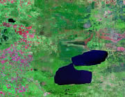 Minnesota Satellite Image