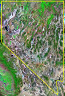 Nevada satellite image