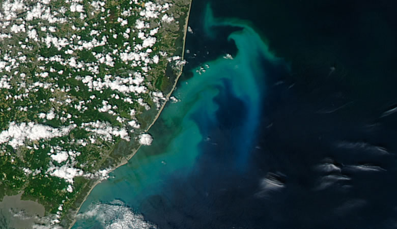 phytoplankton bloom off the coast of New Jersey