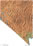 Nevada physical map