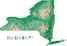 New York elevation map