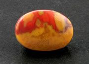 Petrified Wood