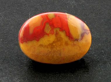 Petrified Wood
