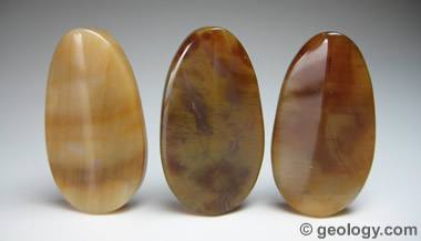 Petrified wood agate