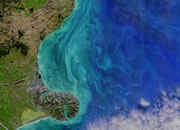 Phytoplankton Blooms