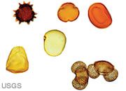 Paleoclimate