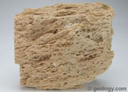 Vesicles
