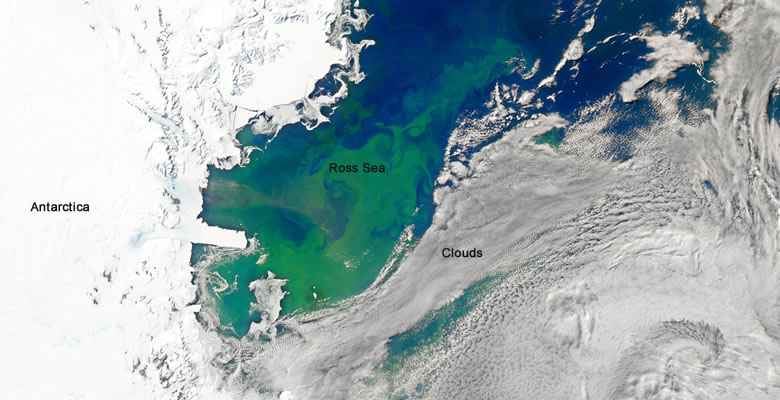 phytoplankton bloom in the Ross Sea, Antarctica