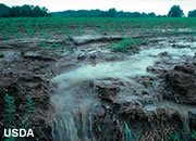 Runoff