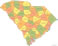 South Carolina county map