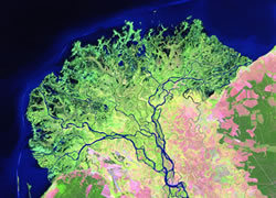 Selenga Delta Satellite Image