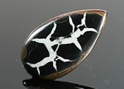 Septarian