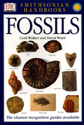 fossil handbook