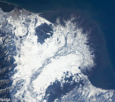 snow cover on the Selenga River delta