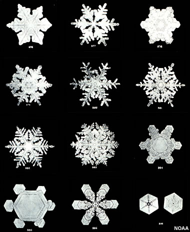 snowflakes - unique shape