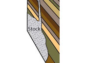 Stock