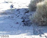 Surface rupture