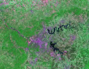 Tennessee Satellite Image